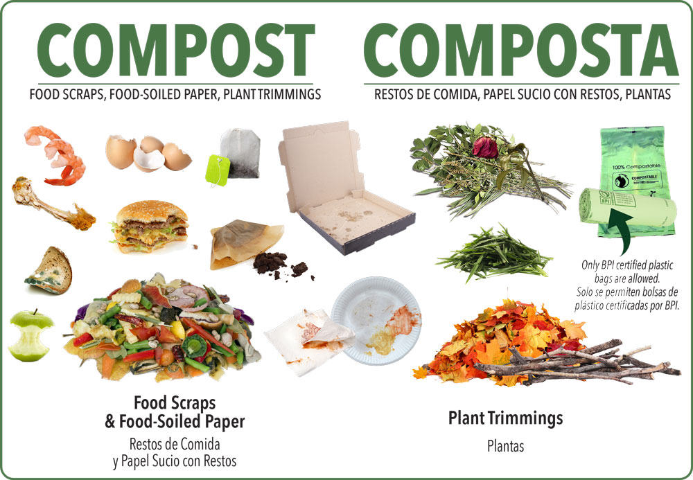 What Belongs In Compost